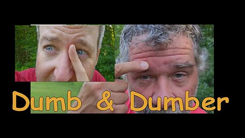 Dumb & Dumber Vs An Angry Hornet Nest