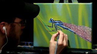 Acrylic Wildlife Painting of a Blue Dragonfly on Grass - Time Lapse - Artist Timothy Stanford
