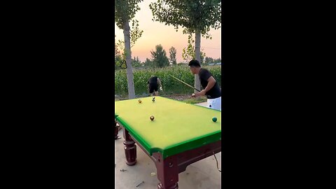 Funny Video Billiards million views - p337 🎱