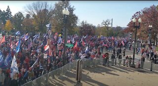 Million MAGA (StopTheSteal) March 11/14/2020, Washington DC