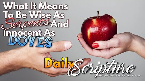 Scripture Reflection - What It Means To Be Wise As Serpents and Innocent As Doves - 7/14/23