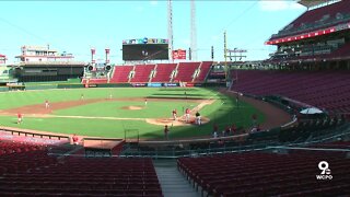 Reds Gameday Experience