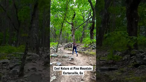 Awesome hike in Cartersville, Georgia. Pine Mountain. #peaceful #nature #hikes #naturelovers #hiking