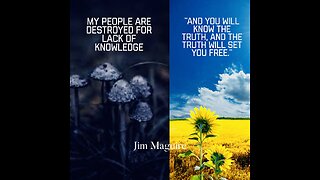 You Will Know The Truth, And The Truth Will Set You Free - Jim Maguire - 26th Of May 2024