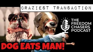 Dog Eats Man!