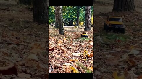 Traxxas Trx4 Bronco Fall days #traxxas #bronco #trx4 #rccar #ford #crawler #short