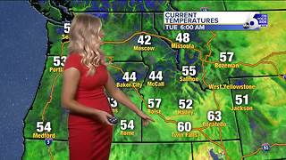 Rollercoaster temperatures for the forecast