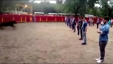 A teacher shows that a bull in a square full of people does not attack anyone if it is not threatene