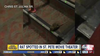 Video shows rat crawling in popular St. Pete movie theater