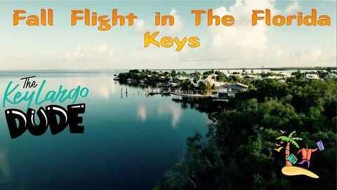 Key Largo Peaceful Fall flight 4K