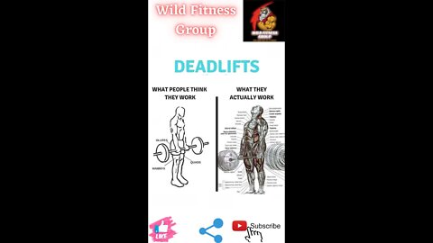 🔥Deadlifts🔥#fitness🔥#wildfitnessgroup🔥#shorts🔥