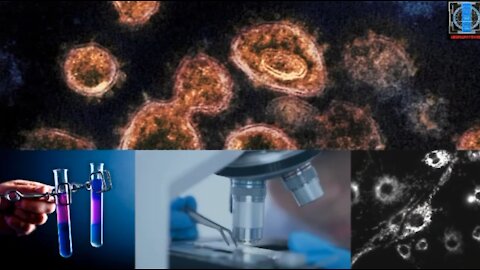 Documental: La falsa ciencia de la virología y quienes la perpetraron