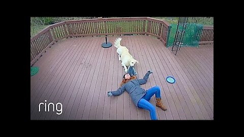 Dog mistakes hood for a toy and drags owner in the backyard
