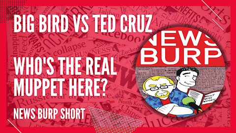 News Burp Short - Big Bird vs Ted Cruz (Who's the real muppet here?)