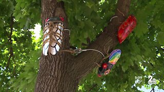 Cicada Parade-a art project unleashing big bugs in Baltimore