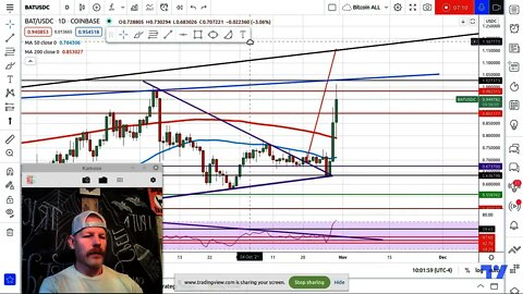 Traders. How to Map Your Levels? How to Trade Up? Risk Management Strategies. BATUSD Brave BATUSDC