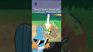 Small Details You MISSED in the Pokemon Scarlet & Violet Trailer 10.6.2022 #shorts