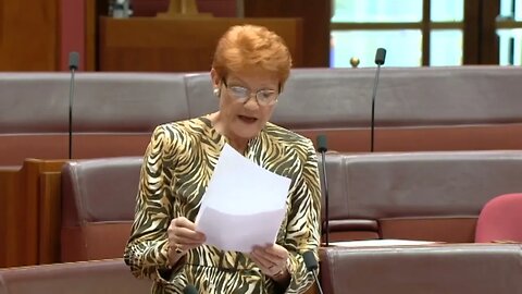 Yes Campaign Called Out | Pauline Hanson Debunks Albanese Voice Lies