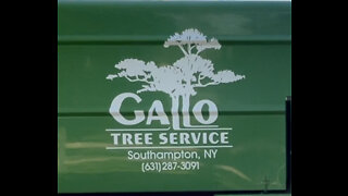 10/23/2021 Robbie Gallo of Gallo Tree Service
