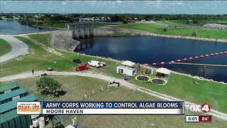 U.S. Army Corps partners with private sector on algae cleanup project