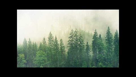 2 hours of soothing music with relaxing nature sounds.
