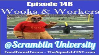 @Scramblin University - Episode 146 - Wooks & Workers