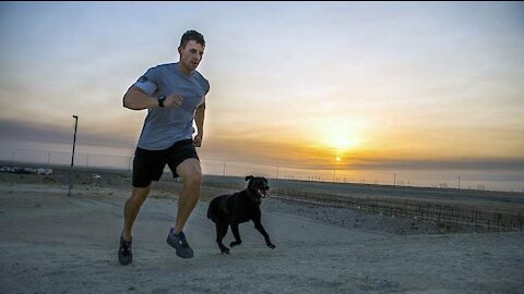 A dog helps his owner with exercises