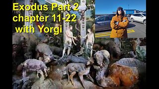 Exodus part 2 chapter 11-22 with Yorgi