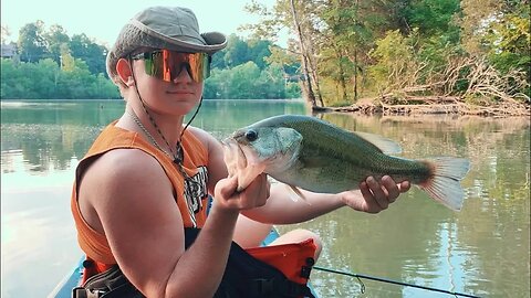 Fall Bass Fishing (Top Water BLOW UPS on Frog!)