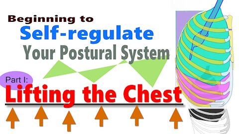 Beginning to Self-regulate Your Postural System, Part I: Lifting the Chest