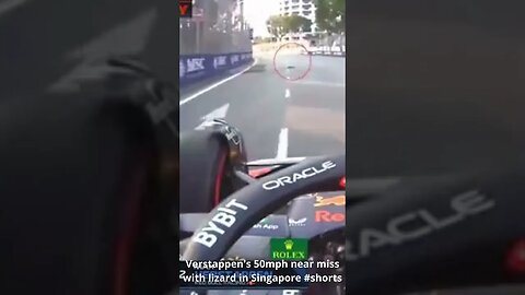 Verstappen's 50mph near miss with lizard in Singapore #shorts