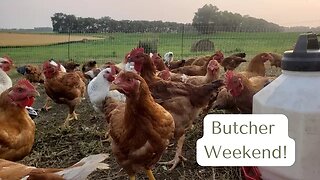 Butcher Weekend! | Labor Day Weekend Vlog