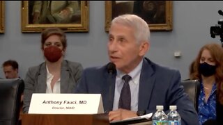 Dr. Fauci leaves Congressman STUNNED with claim about "lockdowns"