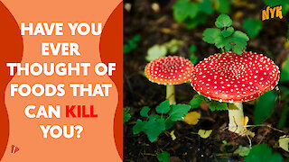 What Are The Exotic Foods That Can Kill You?