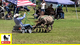 Toy Car Races - What About Bob Chuckwagon Races 2022 | Saturday