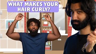 What makes your hair curly? And how to work with it. | WTFAQ