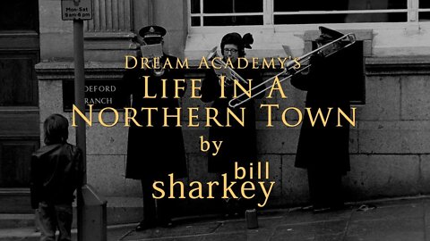 Life In A Northern Town - Dream Academy (cover-live by Bill Sharkey)