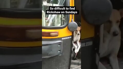 Mumbai- When Ask for Rickshaw in Bombay 😂🙈 #fun #funnyshorts #shorts