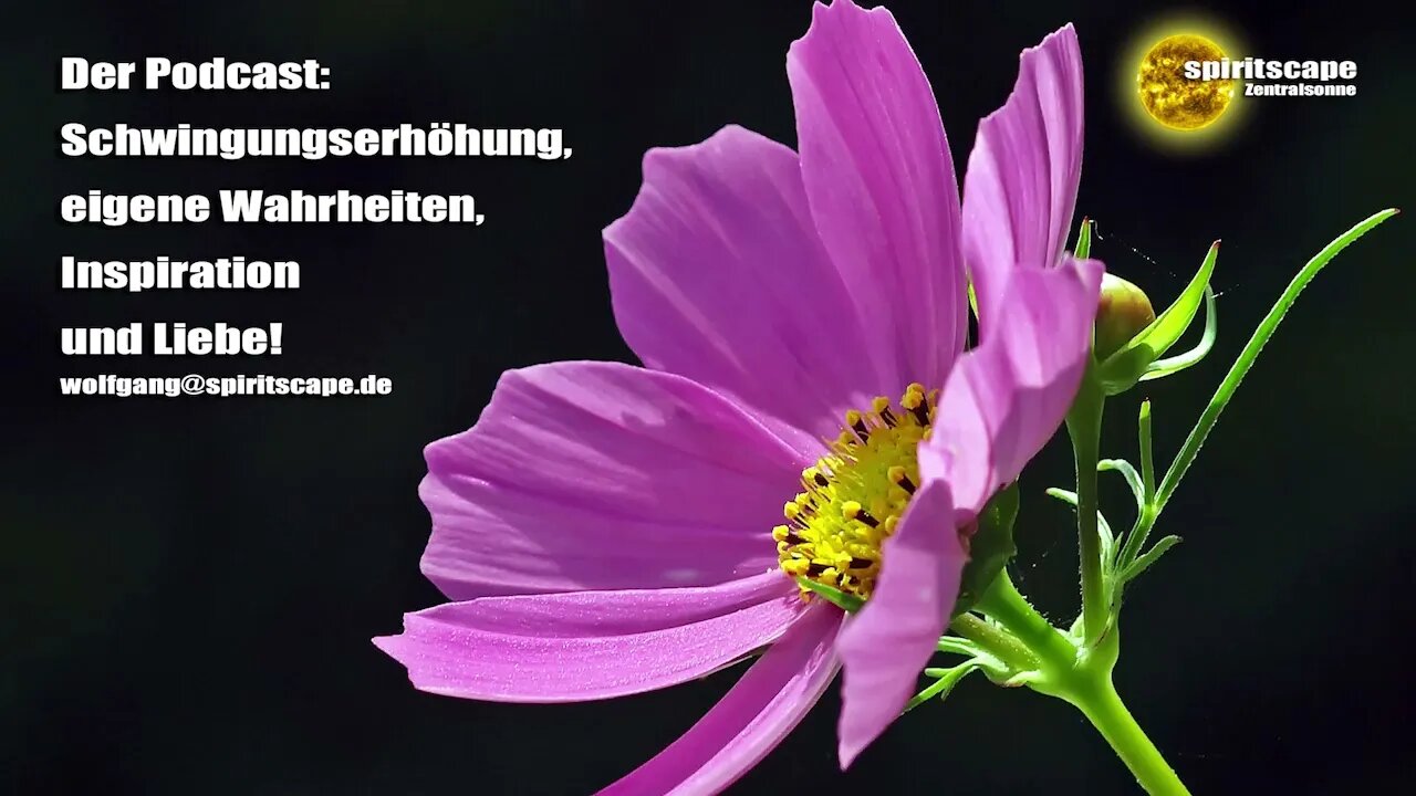 alles gute nachträglich auf englisch