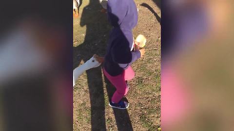 A Geese Bites A Little Girl