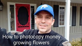 How to become a millionaire propagating plants - daffodils (sound quality issues - file corrupted)