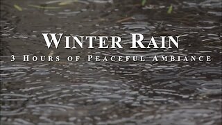 Winter Rain: Peaceful Nature ASMR of a Gentle Rainstorm, Birds, and Thunder