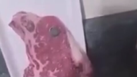 MAGNETIC MEAT MAGNET STICKING ON MEATS