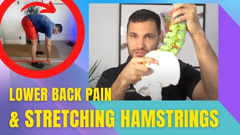 How To Stretch Your Hamstrings For Lower Back Pain & Sciatica