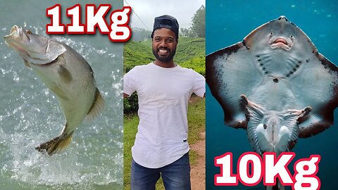 11KG STINGRAY & BARRAMUNDI FISHING. 11കിലോ കാളാഞ്ചി 8കിലോ തിരണ്ടി വേട്ട