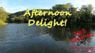 Afternoon Delight - Fishing for Anything!