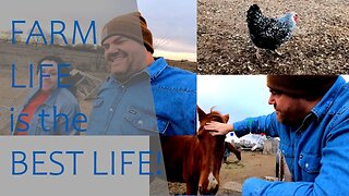 A Great Day Here On The Farm! #farmlife #farm #horses