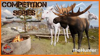 MOOSE - Comp - Diamond & Rare Hunting - theHunter: Call of the Wild