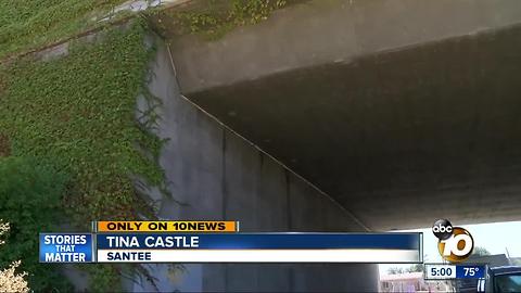 Santee woman escapes assault by urinating on attacker