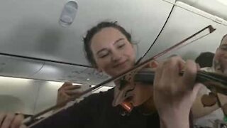 Violino e musica in aereo per la festa di San Patrizio